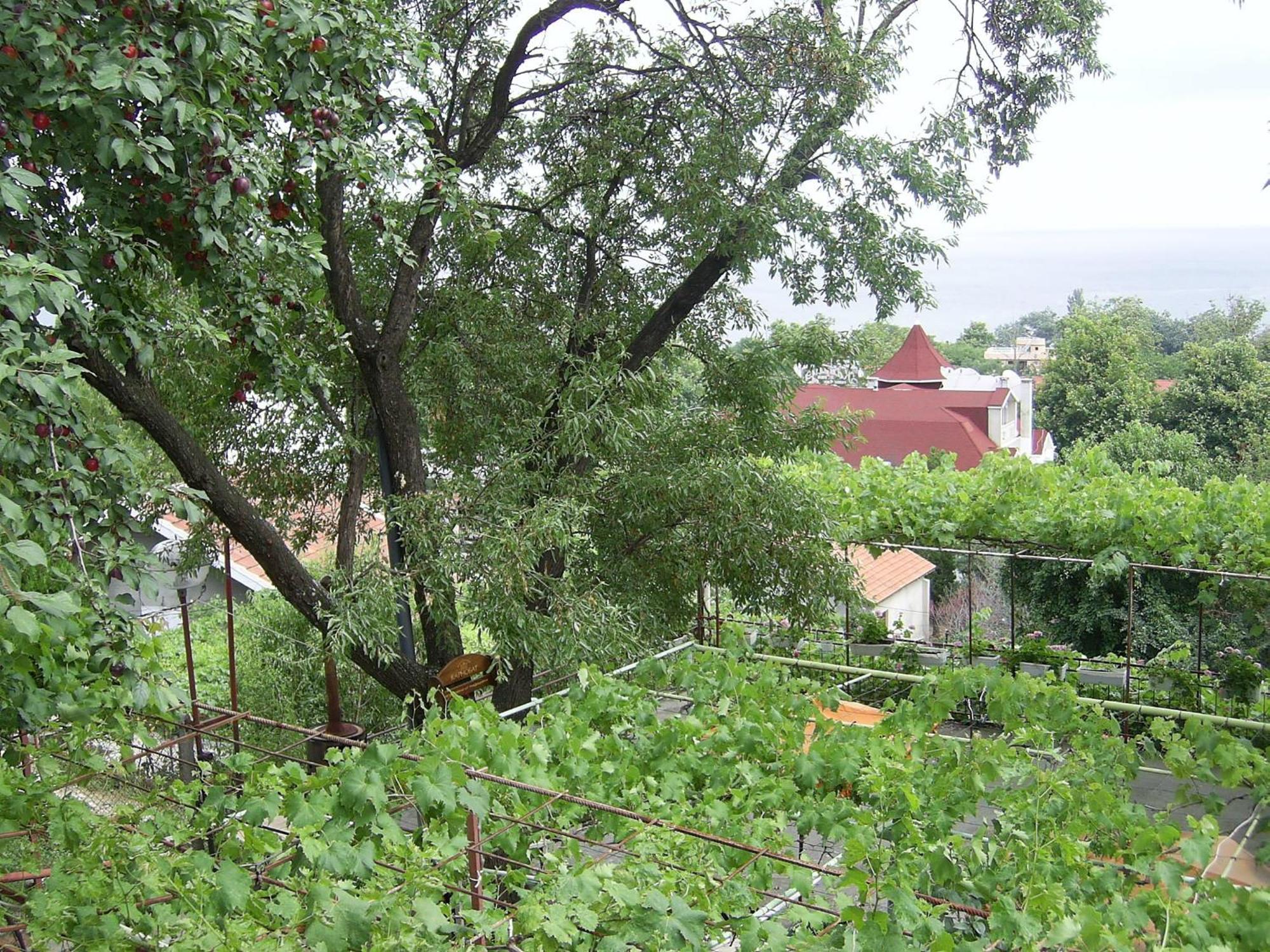 Villa Jana Varna Esterno foto